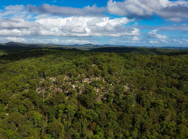 2965 Orara Way, Kremnos, NSW 2460