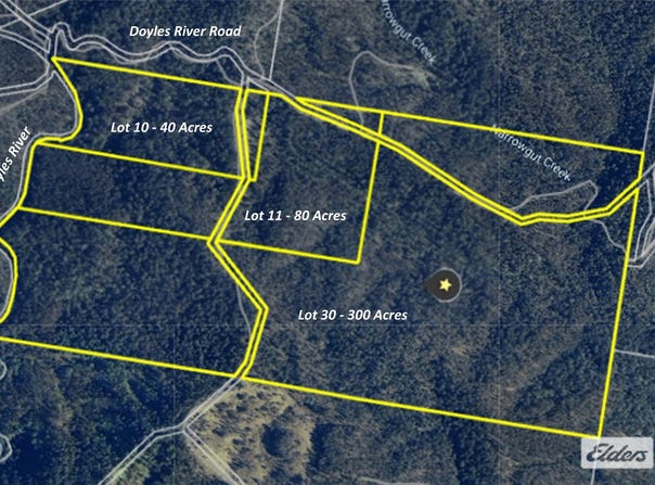1280 Doyles River Road, Bulga Forest, NSW 2429
