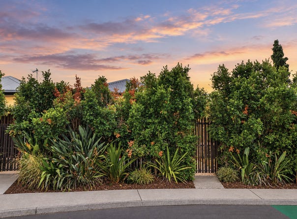 16 Sunbeam Lane, Ripley, Qld 4306