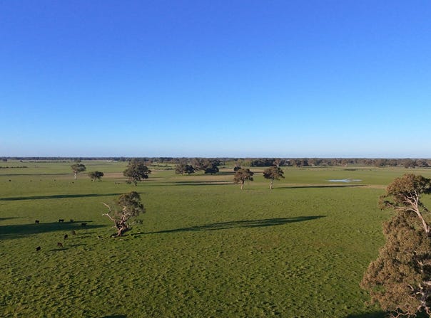 Lots 50 & 51 Old Kalangadoo Road, Penola, SA 5277