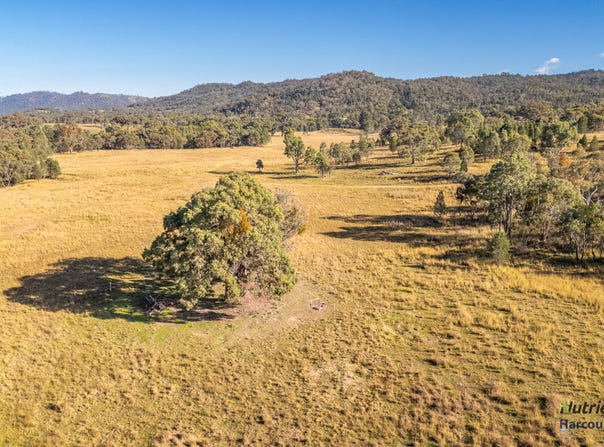 711 Wearnes Road, Bundarra, NSW 2359