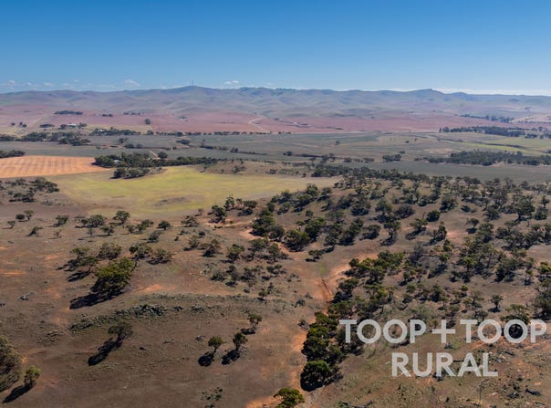 Oaklands Road, Dutton, SA 5356