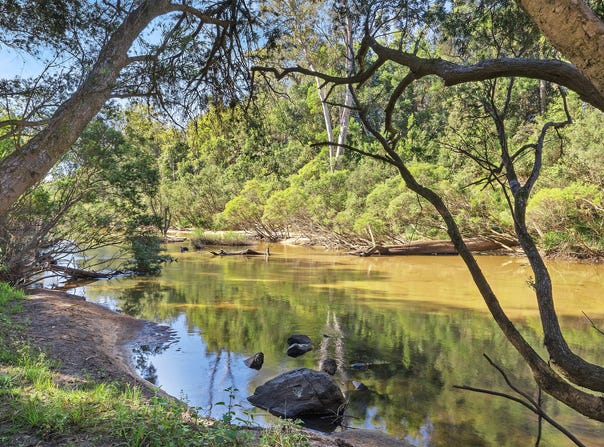 691 Lower Kangaroo Creek Road, Coutts Crossing, NSW 2460