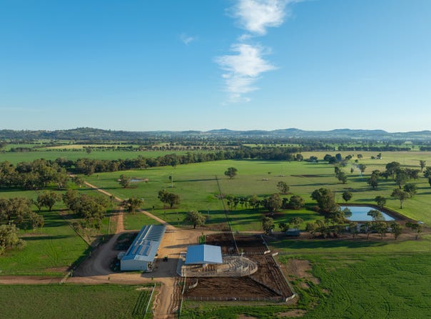 1948 Coach Road, Morven, NSW 2660