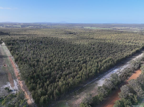 Lot 5809 Takenup Road, Napier, WA 6330