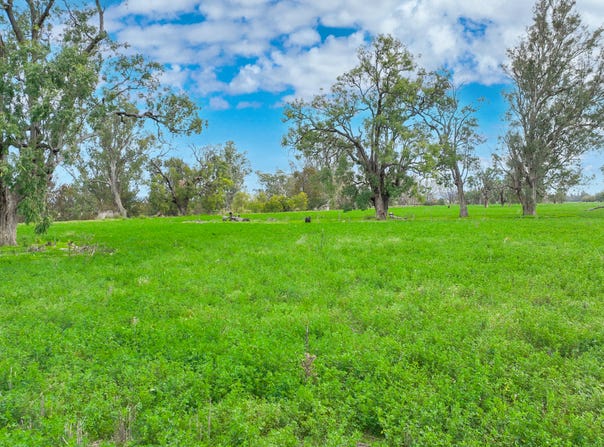 359 Balcarry Lane, Attunga, NSW 2345