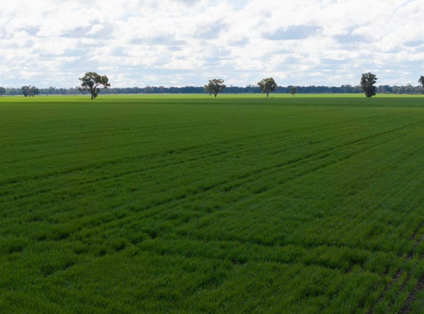 141 Cheecome Road, Moree, NSW 2400