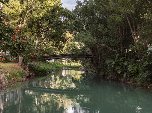 826 Currumbin Creek Road, Currumbin Valley, Qld 4223
