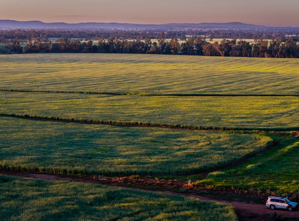 298 Eumungerie Road, Narromine, NSW 2821
