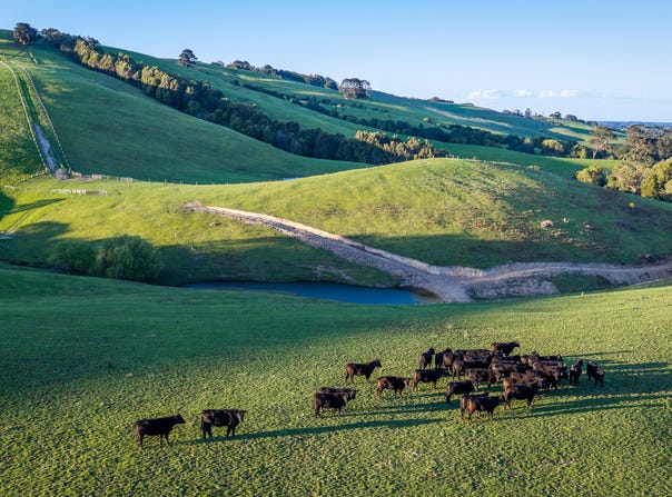422 O'Gradys Ridge Road, Foster North, Vic 3960