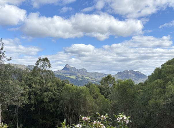 Eungella, NSW 2484