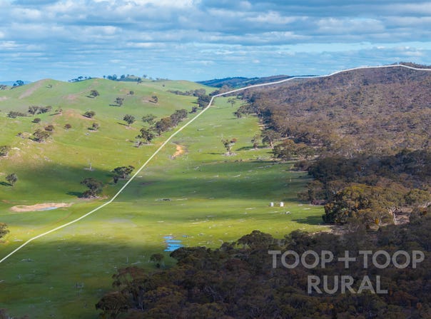 1705 Ngapala Road, Ngapala, SA 5374