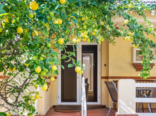 94 Dalkeith Road, Nedlands, WA 6009
