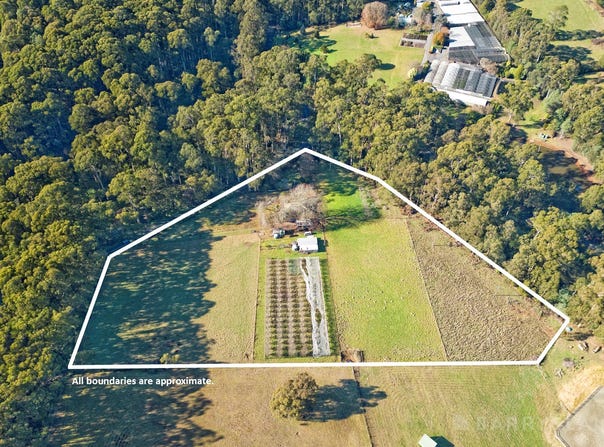 160 David Hill Road, Monbulk, Vic 3793
