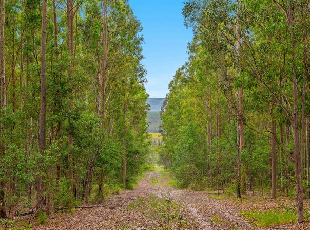 18 Ryans Road, Bonalbo, NSW 2469