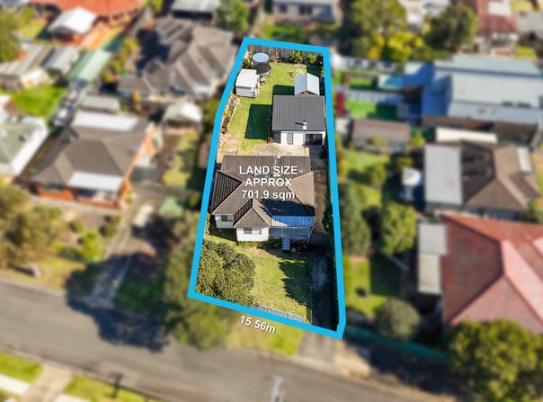 166 Adler Parade, Greystanes, NSW 2145