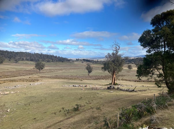 1561 Dennistoun Road, Bothwell, Tas 7030