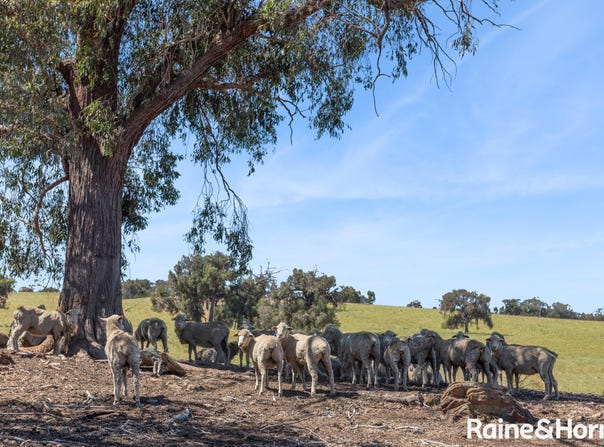 C/A 2A & 2D 555 & 565 Dairy Flat Road, Heathcote South, Vic 3523