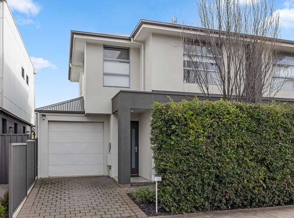 52C Farnham Road, Ashford, SA 5035