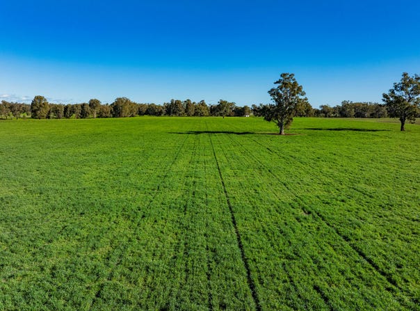 126 Kneebones Road, Wagga Wagga, NSW 2650