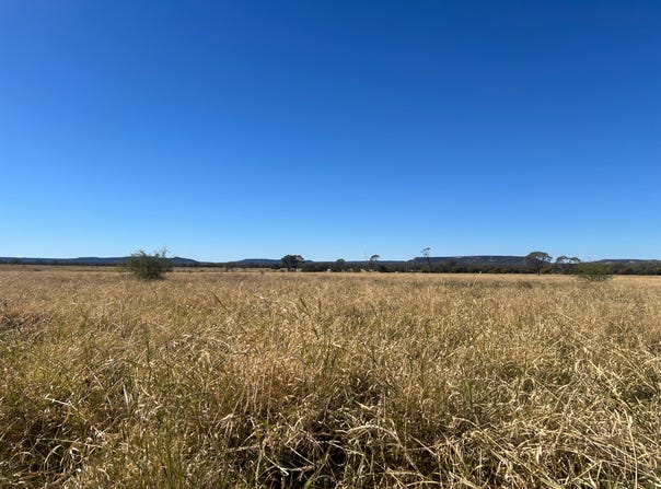 " Bellevue ", Yaraka, Qld 4731