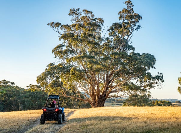 2209A Creightons Creek Road, Creightons Creek, Vic 3666