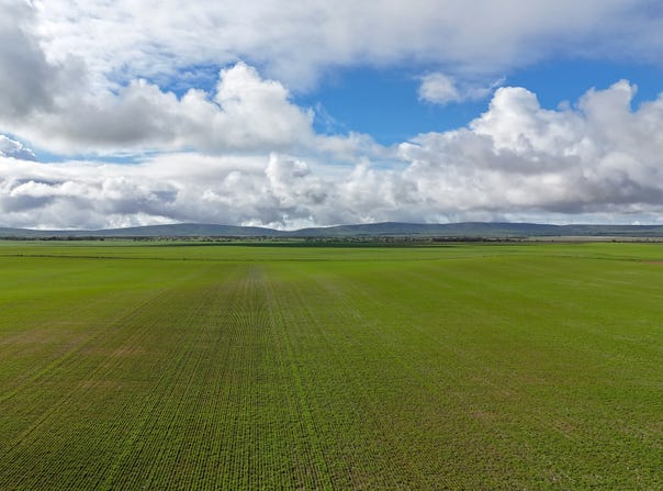 401 Mundoora-Wokurna Rd, Mundoora, SA 5555