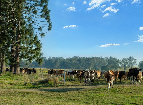 119 Duck Creek Road, Duck Creek, NSW 2469