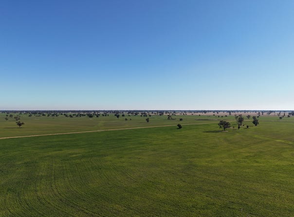 279 Hotchkiss Road, Baradine, NSW 2396
