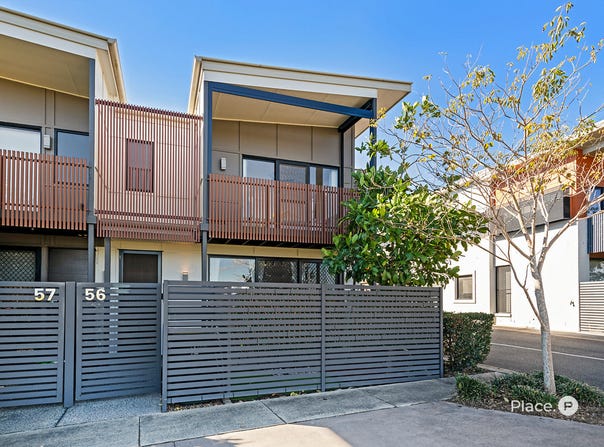 56/1914 Creek Road, Cannon Hill, Qld 4170