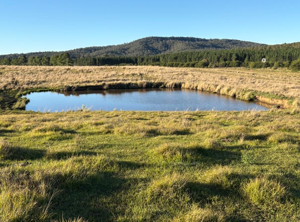 1556 Old Lawrence Road, Deep Creek, NSW 2469