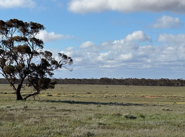 Section 93 Foote Road, Brownlow, SA 5374