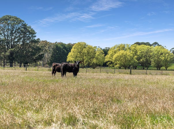 545 Willowmavin  Road, Willowmavin, Vic 3764