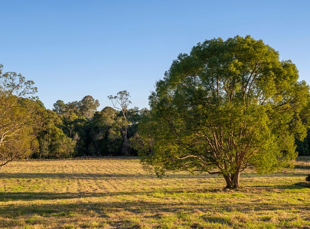 Lot 5, 116 Thrushs Road Road, Dulong, Qld 4560