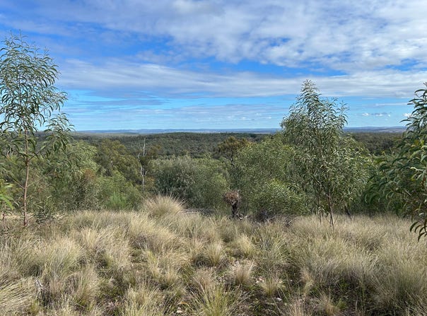 2939 Mosquito Creek Road, Mosquito Creek, Qld 4387