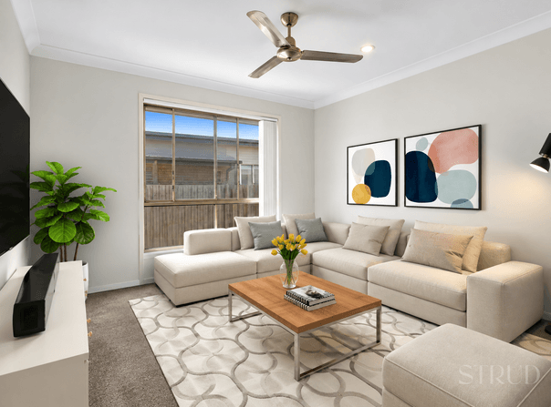 9 Saddleback Avenue, Redbank Plains, Qld 4301
