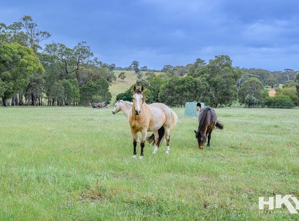 291 Morley Road, Lower Chittering, WA 6084