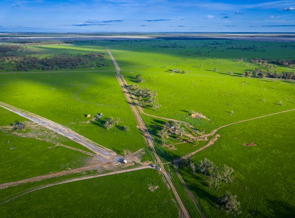 7856 Carinda Road, Gungalman, NSW 2829