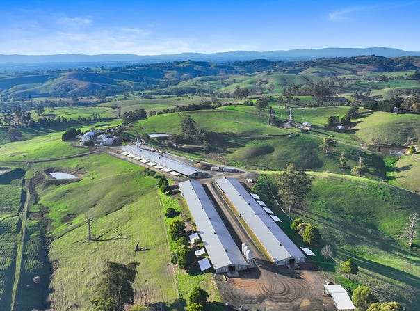 641 Mountain View-McDonalds Track, Mountain View, Vic 3988