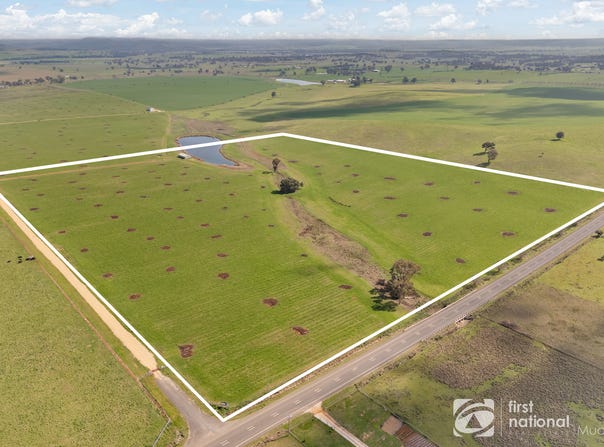 46 Shiraz Drive, Gulgong, NSW 2852