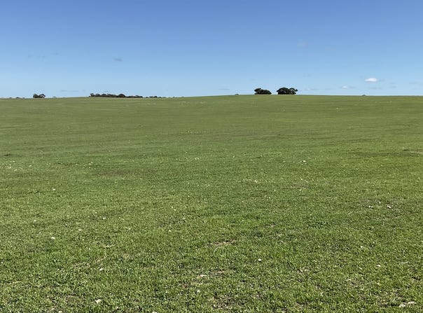 1682 Ladara Bore Road, Netherton, SA 5301