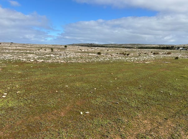 317, Nowhere Else Road, Sheringa, SA 5607