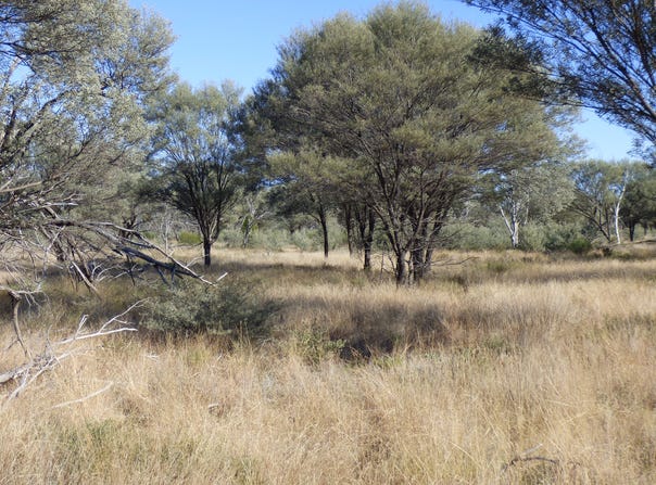 9479 Balonne Highway, Cunnamulla, Qld 4490