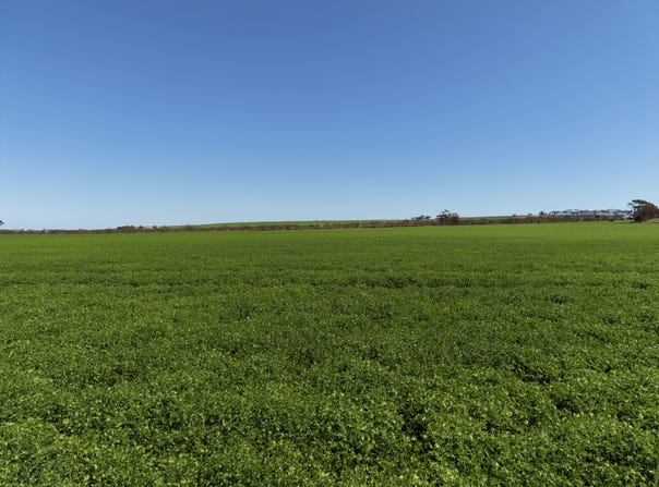 Sec 102 & 103 Kainton Road, Kainton, SA 5552