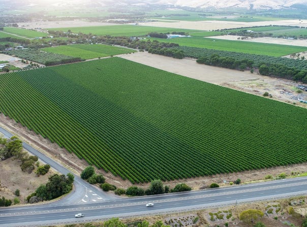 422, Little Road, Aldinga, SA 5173