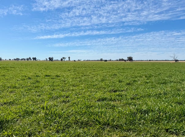 279 Hotchkiss Road, Baradine, NSW 2396