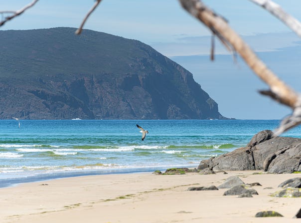 931 Lighthouse Road, South Bruny, Tas 7150