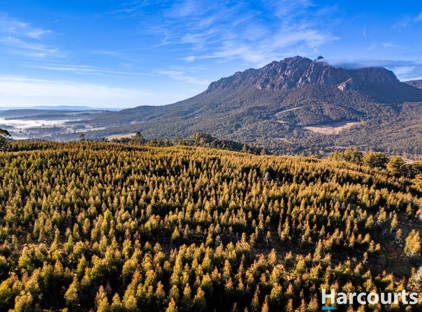220 Holmes Road, Roland, Tas 7306