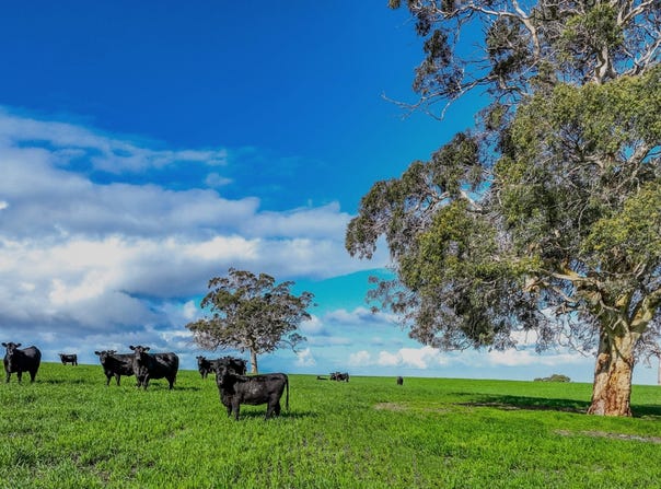 A21 Sunnydale Road, Strathalbyn, SA 5255