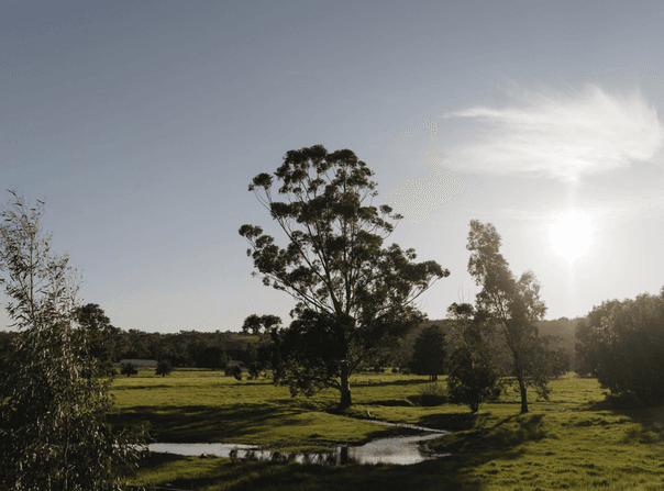Meander Road, Bullsbrook, WA 6084